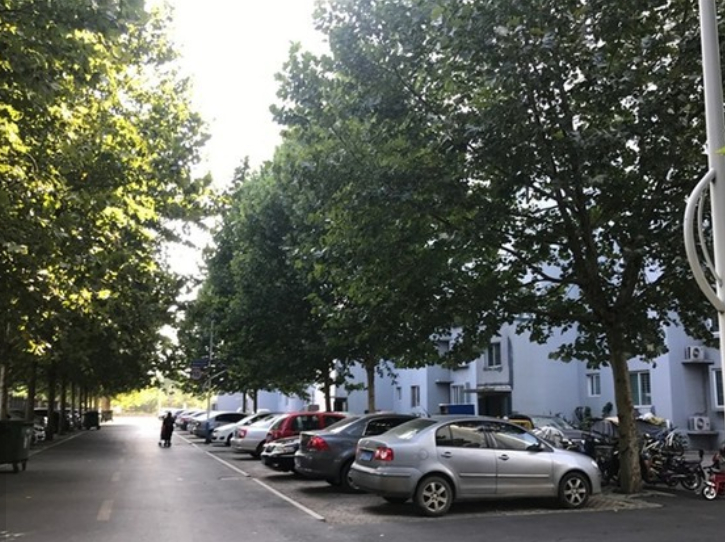 （2009年）鄒平一中翠微園1號(hào)、2號(hào)、6號(hào)樓鑒定